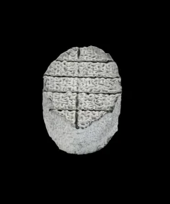 XV du pic cendré 110g x 8