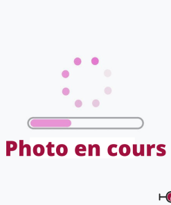 IGP Pays d’Oc 2021 – Merlot – BIB 5L – CAMAS