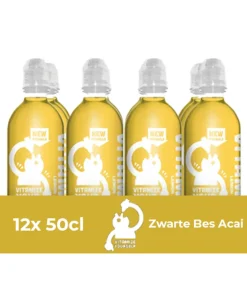 Vitamize focus zwarte bes acai pet (12x 500ml)