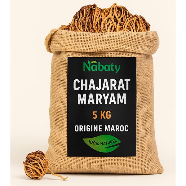 Shajarat mariam – Rose de Jericho – 5 kilos en vrac – Image 2
