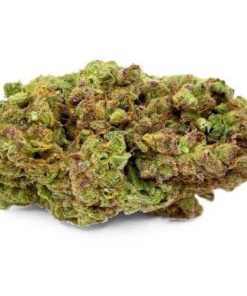 Alternative view of 🎁 – COOKIE KUSH FROZEN (hydroponique)