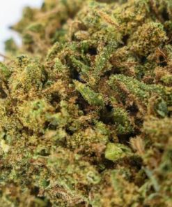 Alternative view of 🎁 – OG KUSH